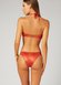 Culotte